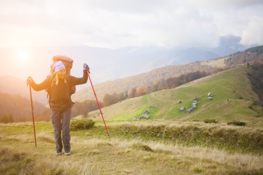 Bir sırt çantası ile turistik bir orman iz üzerinde olduğunu.