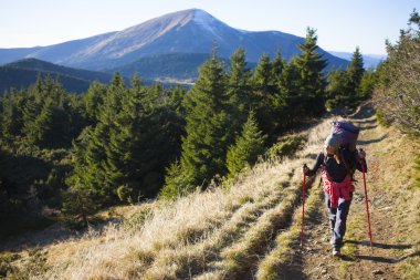 Bir sırt çantası ile turistik bir orman iz üzerinde olduğunu.