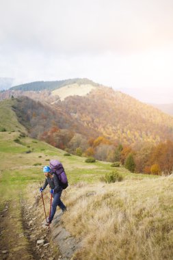 Bir sırt çantası ile turistik bir orman iz üzerinde olduğunu.