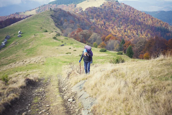 Tourist mit Rucksack ist auf Waldweg unterwegs. — Stockfoto