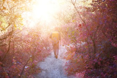 Ormanda yürüyüş sırt çantası ile kız.