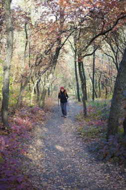 Ormanda yürüyüş sırt çantası ile kız.