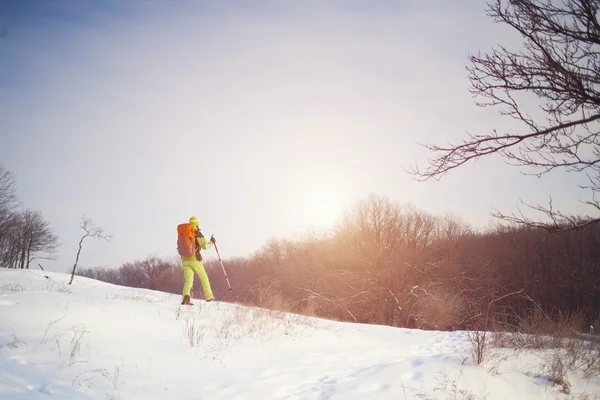 Les gens traversent la neige . — Photo