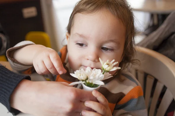 小さな男の子の花の臭いがします。. — ストック写真