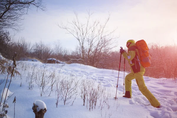 Les gens marchent sur la neige . — Photo