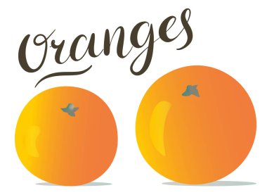 Orangutan. Beyaz arkaplanda portakallar