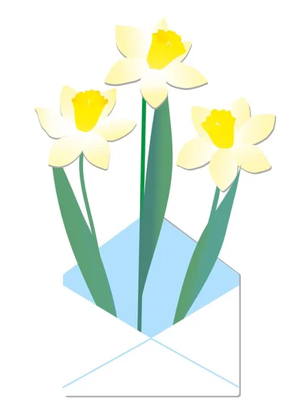 Vektor-Set von gelben Narzissen isoliert auf weißem Hintergrund. Frühlingsblumen im Garten. Strauß Narzissen — Stockvektor