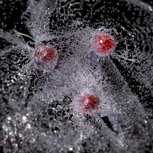 Kersen in water splash, geïsoleerd op zwarte achtergrond — Stockfoto
