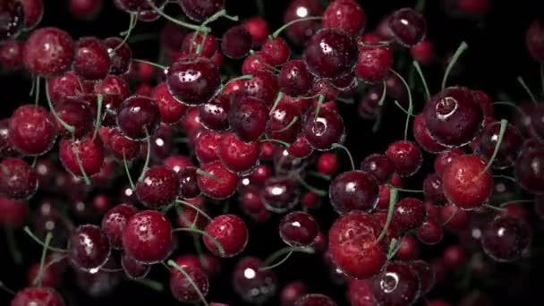 Cerejas em gotas de água . — Vídeo de Stock