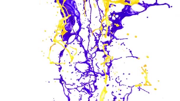 Salpicaduras de colores, aisladas sobre fondo blanco . — Vídeo de stock