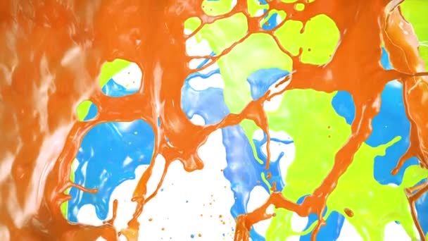 Colorido Splashes, isolado no fundo branco . — Vídeo de Stock