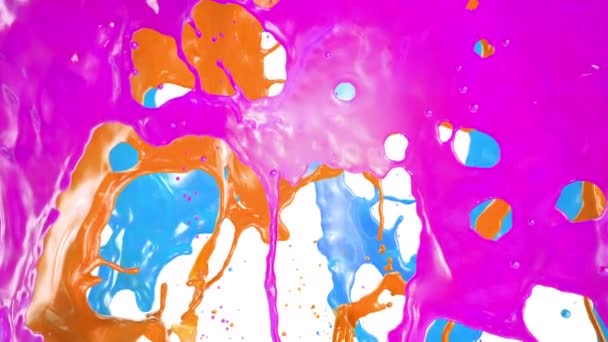 Colorido Splashes, isolado no fundo branco . — Vídeo de Stock