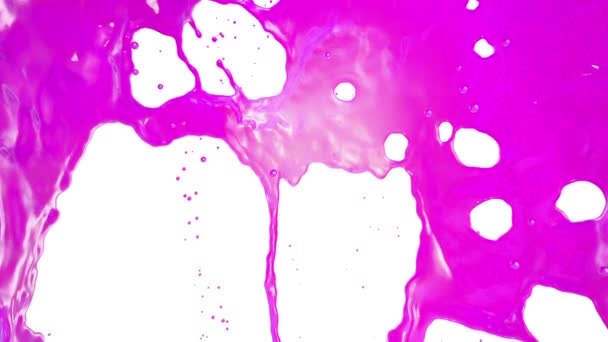 Colorido Splashes, isolado no fundo branco . — Vídeo de Stock