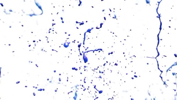 白い背景の色ペイント滴のクローズ アップ. — ストック動画