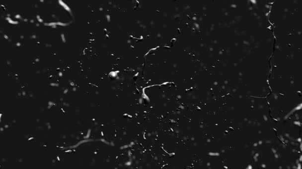 Close Up of a Black Oil Drops on Black background. — Stok Video