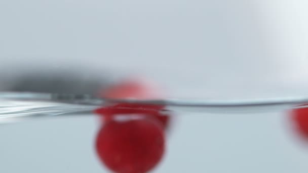 Cranberries salpicando em água. Movimento lento . — Vídeo de Stock