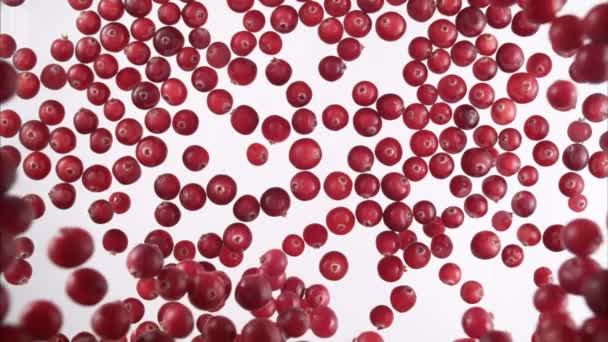 Cranberries Splashing into Water. Slow Motion. — Stock Video