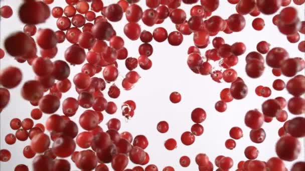 Cranberries salpicando em água. Movimento lento . — Vídeo de Stock