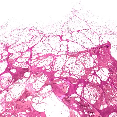 renkli boya sıçraması.