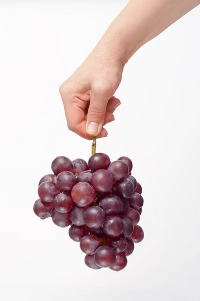 kırmızı üzüm demet