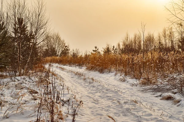 Paisaje de invierno con camino de tierra — Foto de Stock