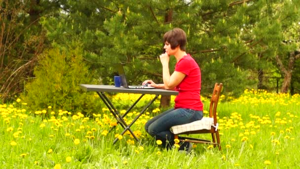 Γυναίκα που εργάζεται σε φορητό υπολογιστή στον κήπο — Αρχείο Βίντεο