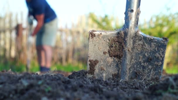 Tiro de un hombre cavando camas de jardín para plantar verduras — Vídeos de Stock