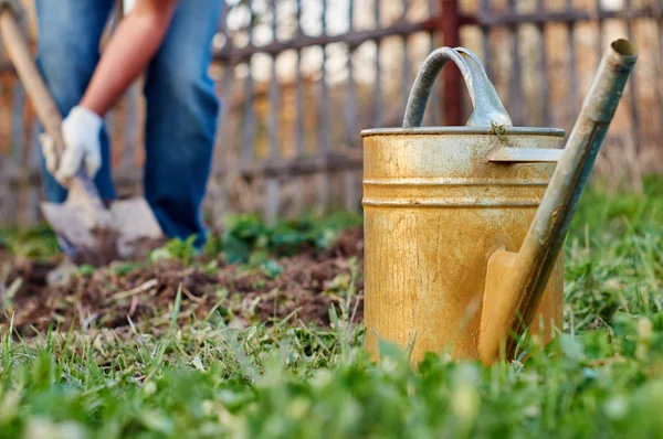 Mann arbeitet auf Gartenbeeten — Stockfoto