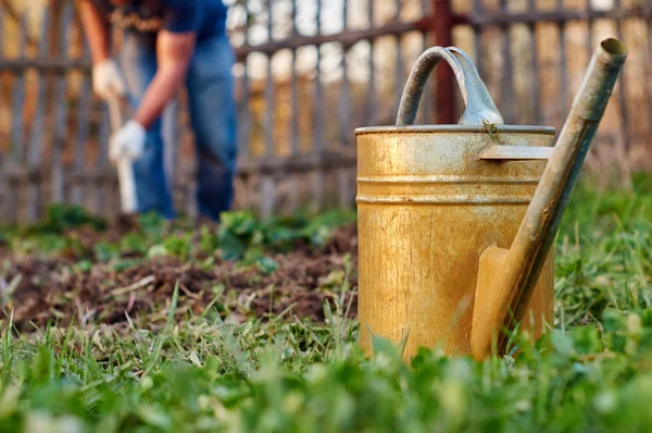 Hombre trabajando en camas de jardín — Foto de Stock