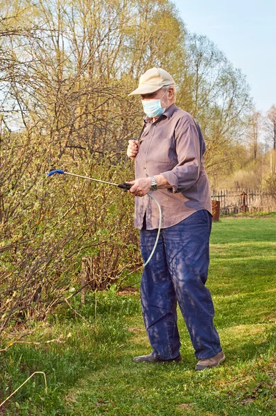 Plantas procesadoras de ancianos con insecticidas en su jardín — Foto de Stock