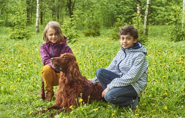 Children with a dog outdoors — Stock Photo, Image