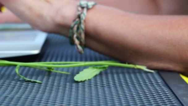 Close-up van vrouwelijke handen te typen op het toetsenbord van een laptop in de groene tuin — Stockvideo