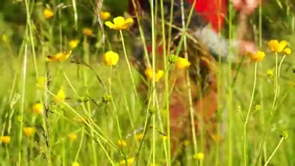 Boer maaien van gras met een zeis — Stockvideo