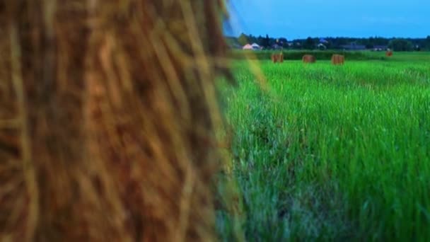 Sliding around hay bales in the night — Stock Video