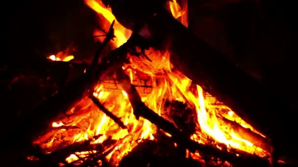 Большой костер горит в темноте ночи — стоковое видео
