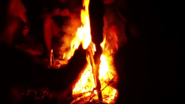 Night bonfire outdoors — Stock Video