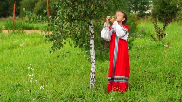 白樺の木の周りを回って女子高生は、ロシアの民族衣装を着て — ストック動画