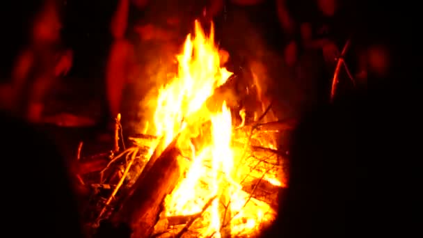 Szép nyári éjszaka a tábortűz — Stock videók