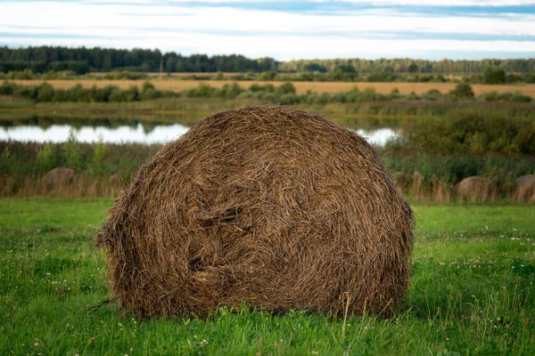 Paysage estival avec une balle de foin sur la prairie verte en face d'une rivière en été — Photo