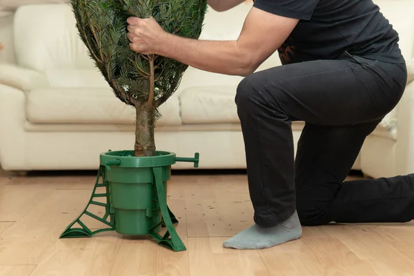 Человек устанавливает елку в пластиковом стенде дома в канун Нового года — стоковое фото