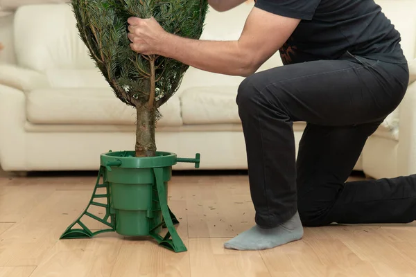 Uomo che installa un albero di Natale in uno stand di plastica a casa a Capodanno — Foto Stock