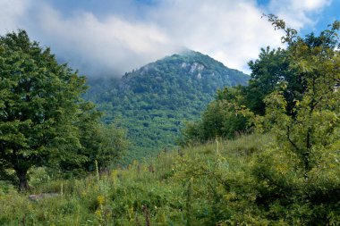 Ermeni dağlarındaki güzel yaz manzarası ılık güneşli bir günde ormanla kaplandı.