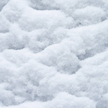 Ağaç gövdesine yapışmış kar dokusu olan bir arka plan