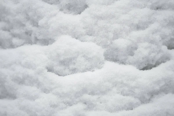 Texture of the snow stuck to a tree trunk — Stock Photo, Image