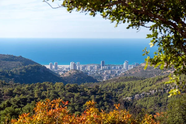 Vedere a unui oraș Tirat Carmel din rezervația Hai Bar Carmel pe muntele Carmel din Israel — Fotografie, imagine de stoc