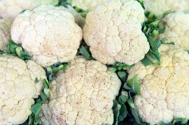 Piyasadaki karnabahar grubunun arka planı