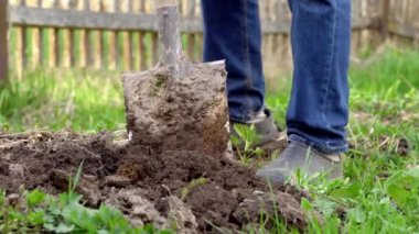 Kısa lastik çizmeli erkek ayakları bir ev arazisinde bahçe yatağı kazıyor.