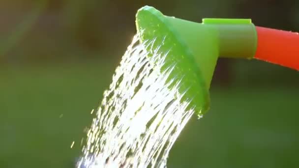 Água derramando de uma lata de rega no jardim de verão close-up — Vídeo de Stock
