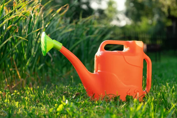 Lata de rega laranja na grama verde no jardim durante o pôr do sol — Fotografia de Stock