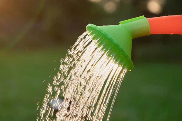 Water gieten uit een gieter in de zomertuin close-up — Stockfoto